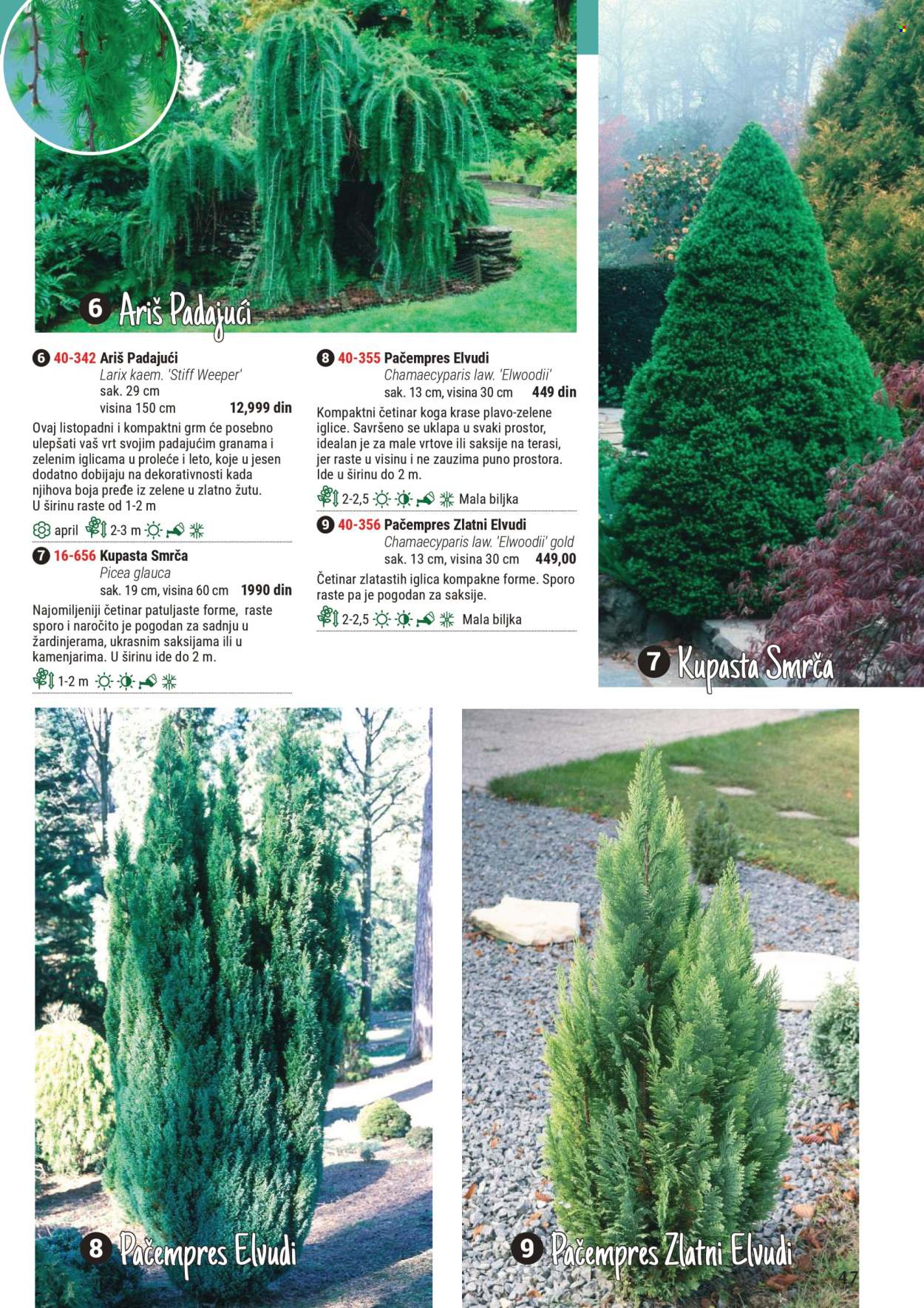 Flora Ekspres katalog. Stranica 1