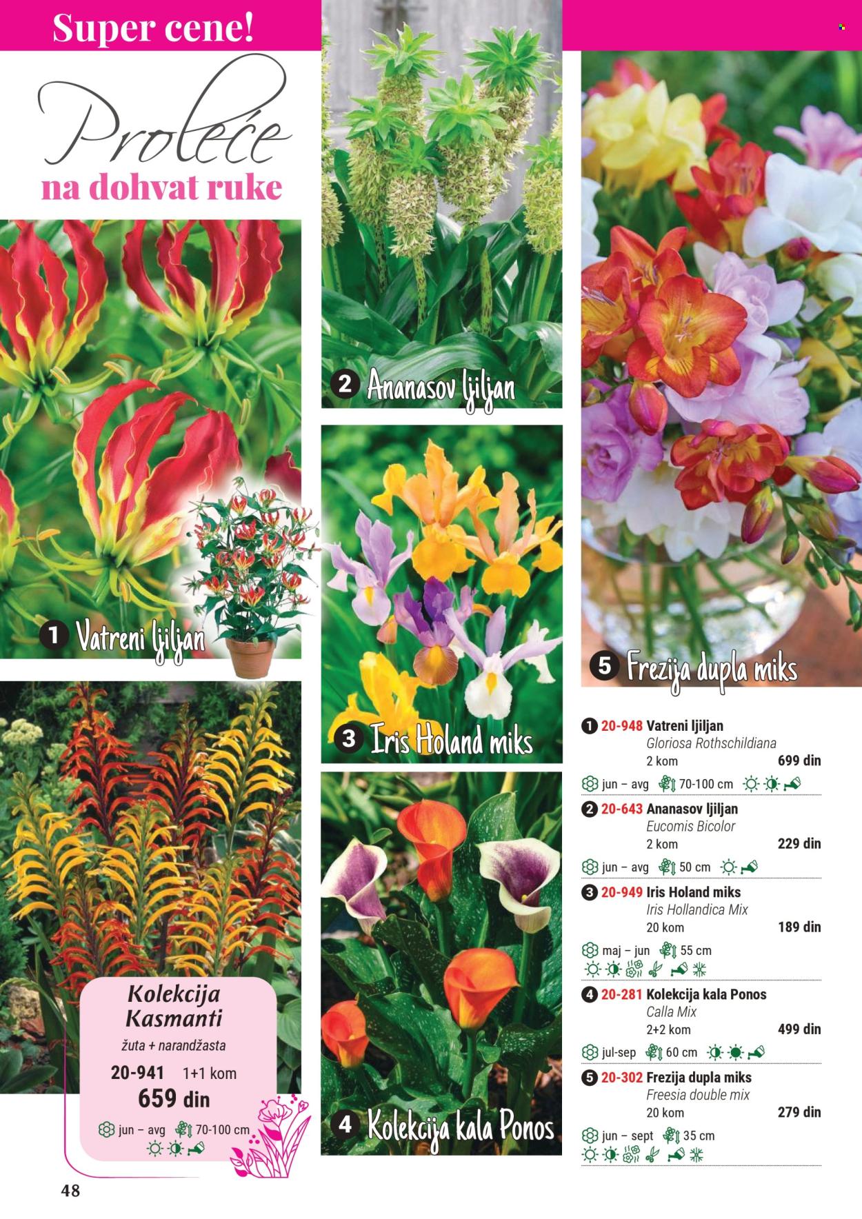 Flora Ekspres katalog. Stranica 1