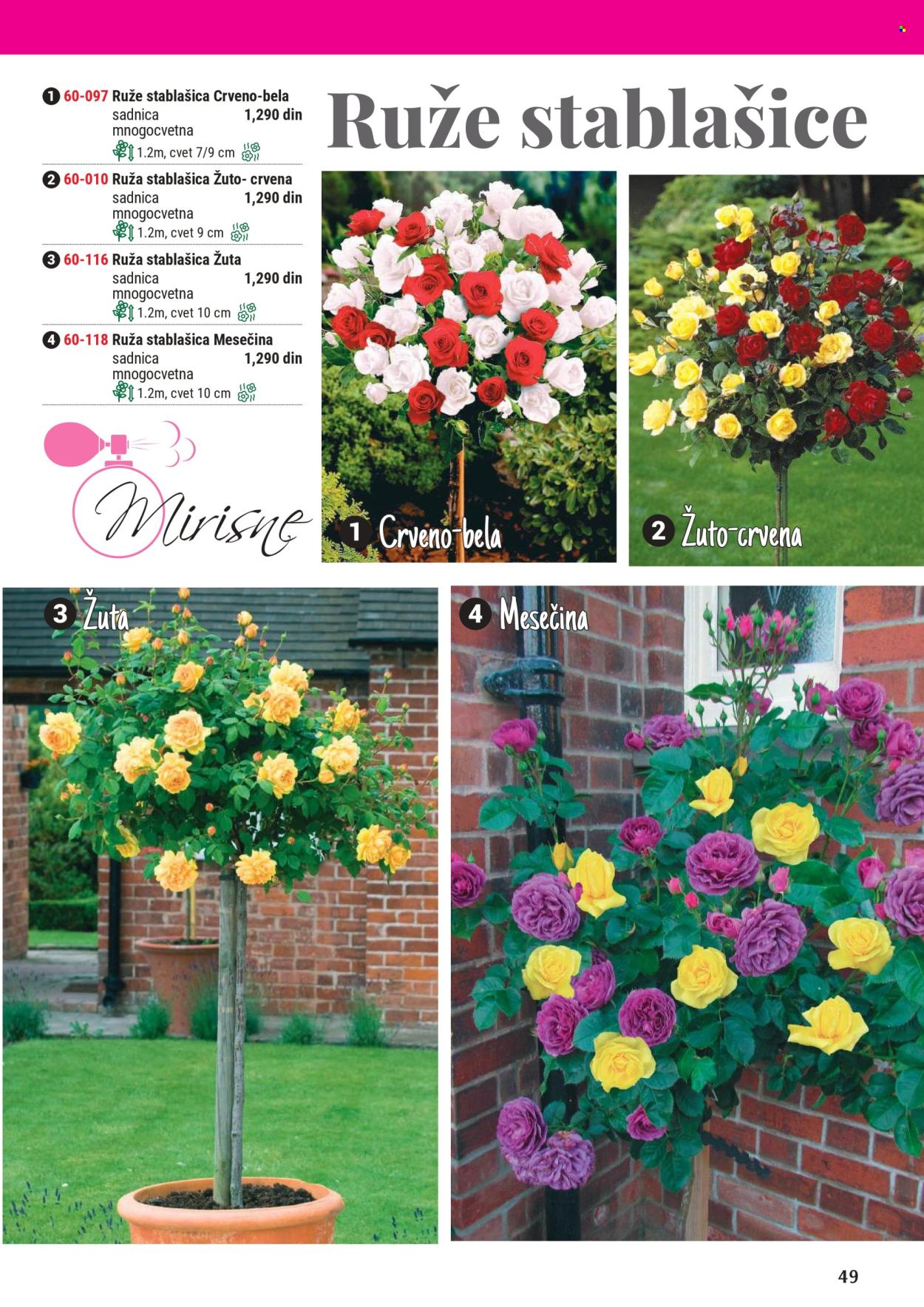 Flora Ekspres katalog. Stranica 1