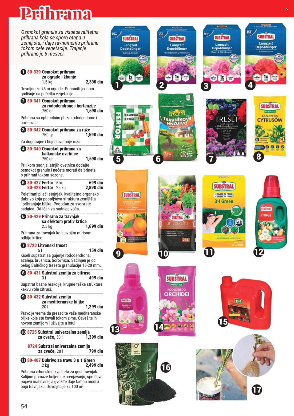 Flora Ekspres katalog. Stranica 1