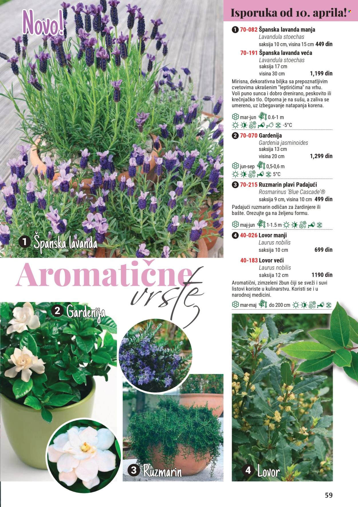 Flora Ekspres katalog. Stranica 1