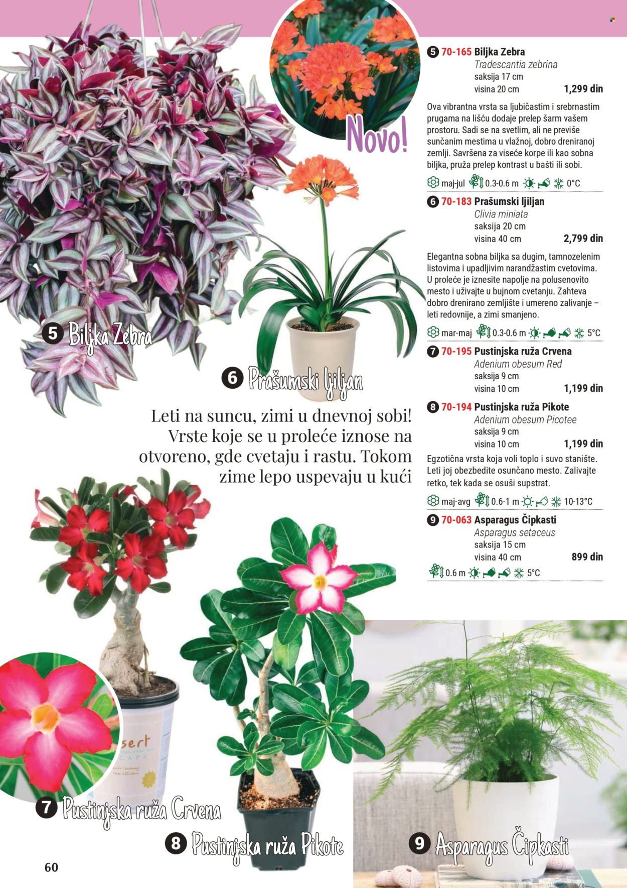 Flora Ekspres katalog. Stranica 1