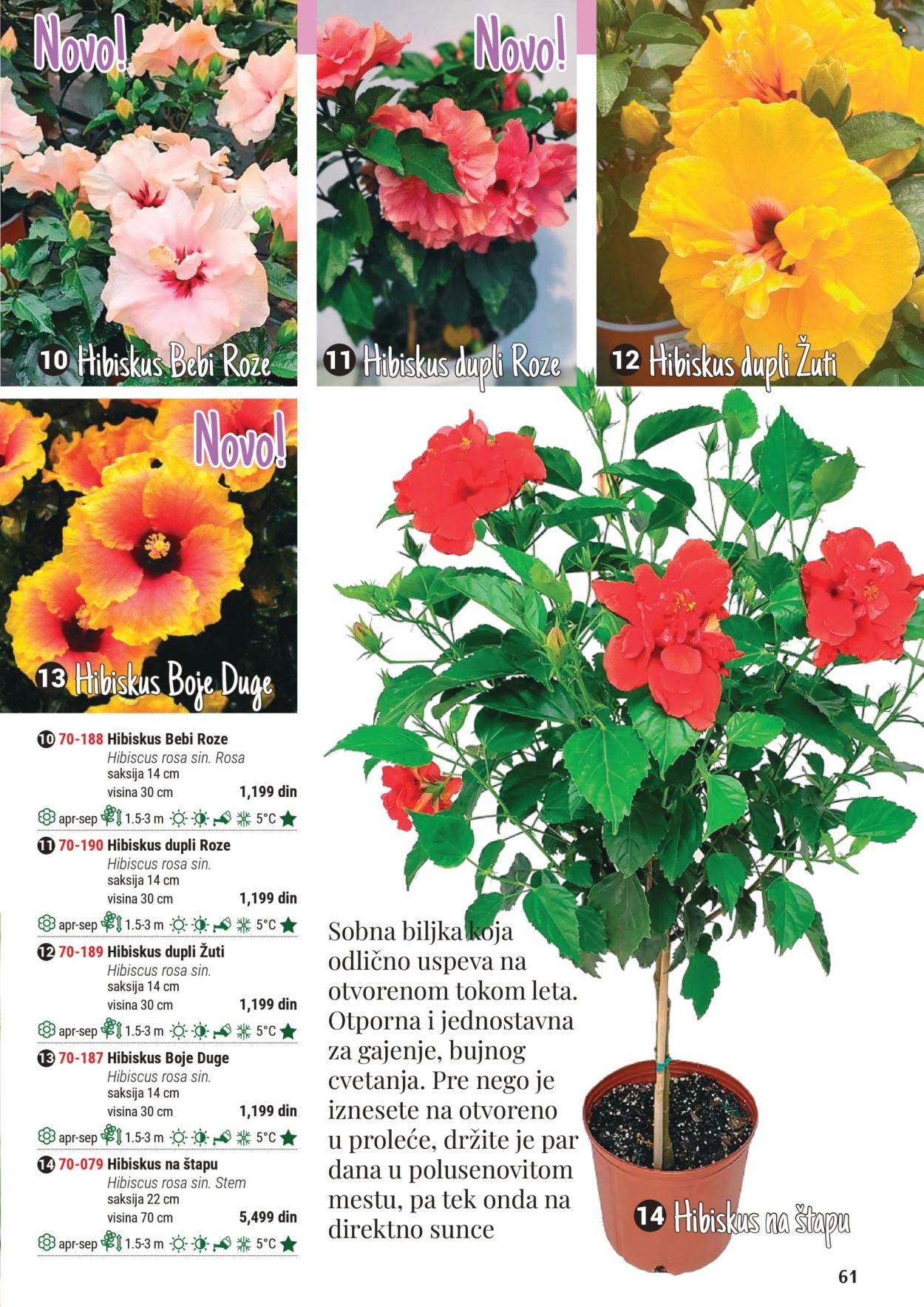 Flora Ekspres katalog. Stranica 1