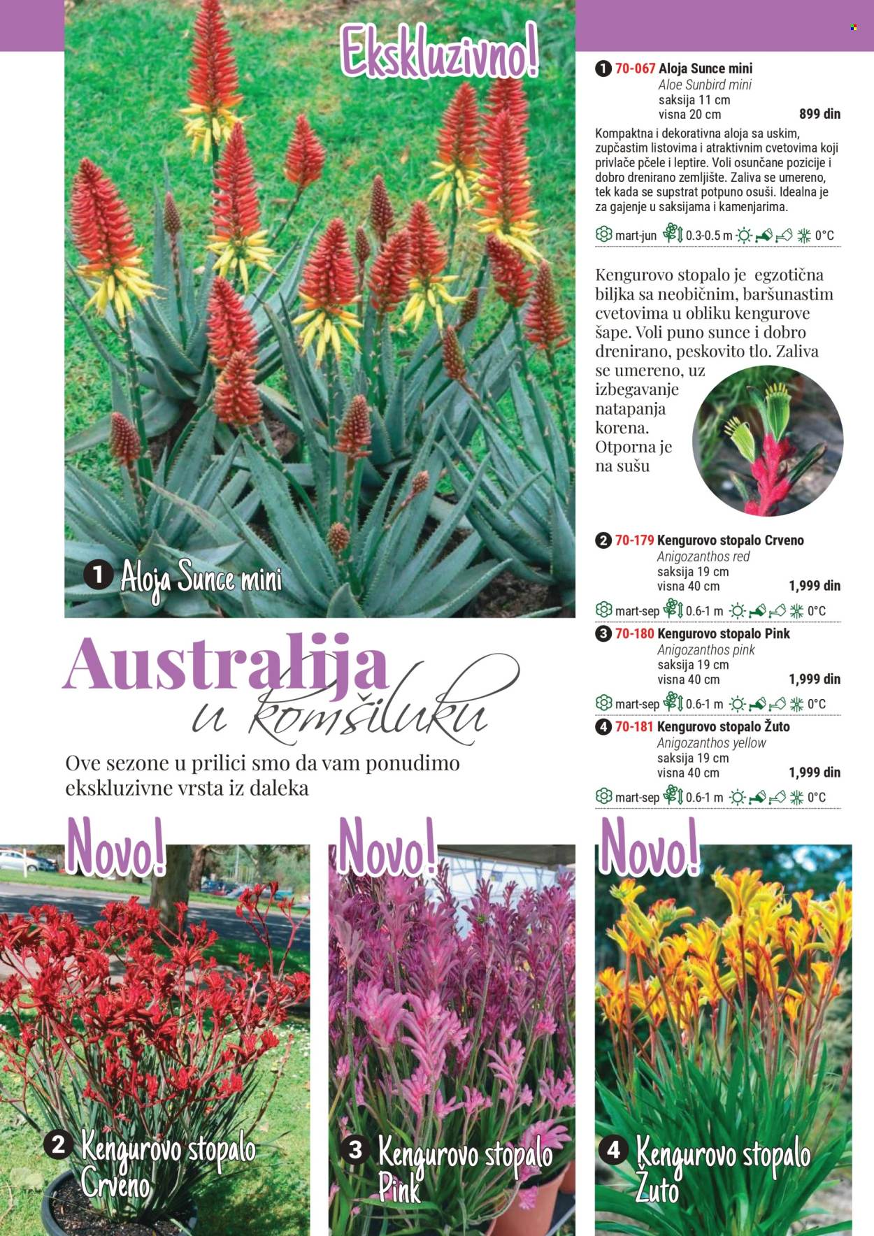 Flora Ekspres katalog. Stranica 1