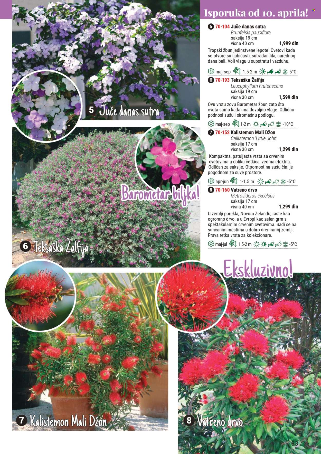 Flora Ekspres katalog. Stranica 1