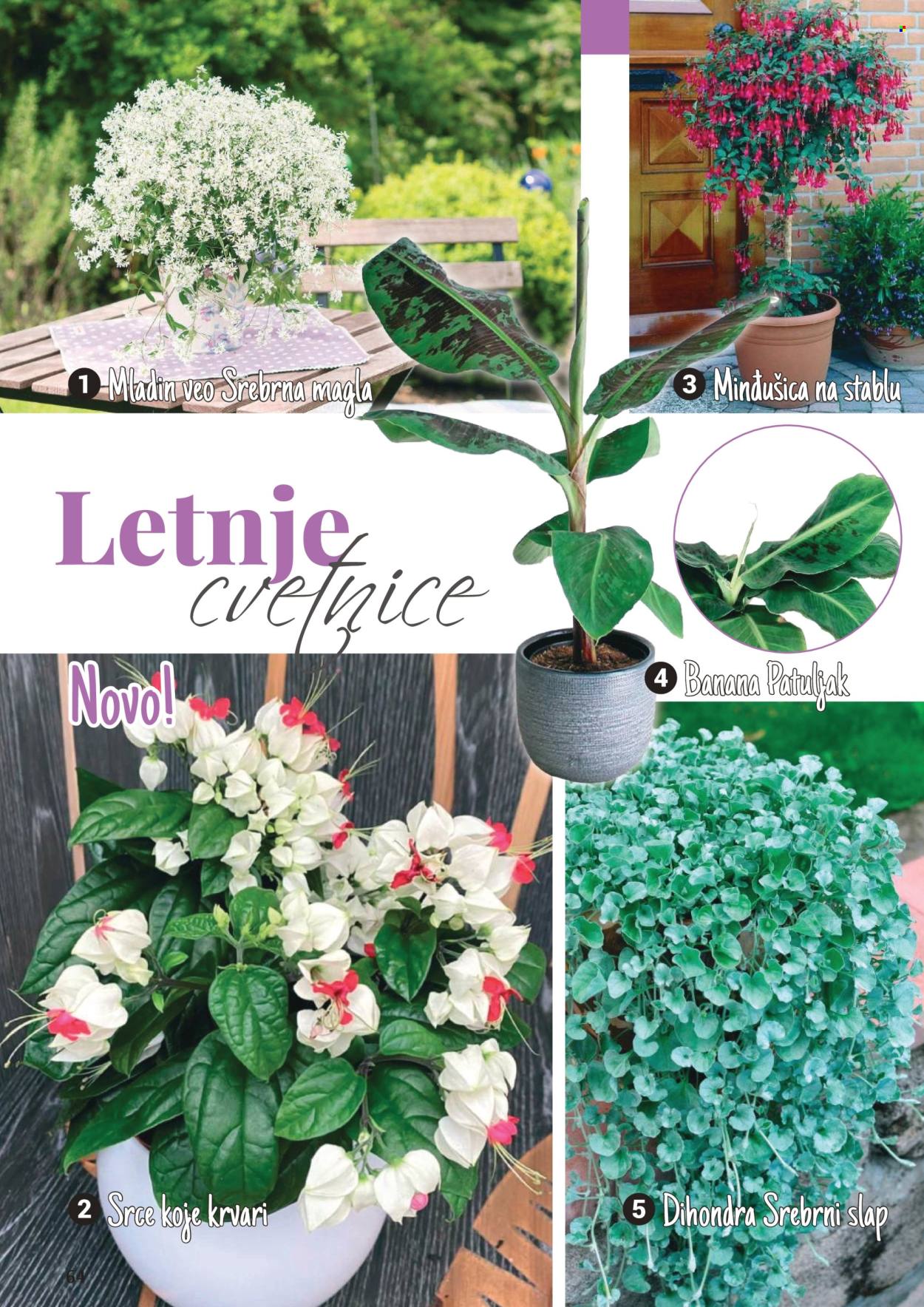 Flora Ekspres katalog. Stranica 1
