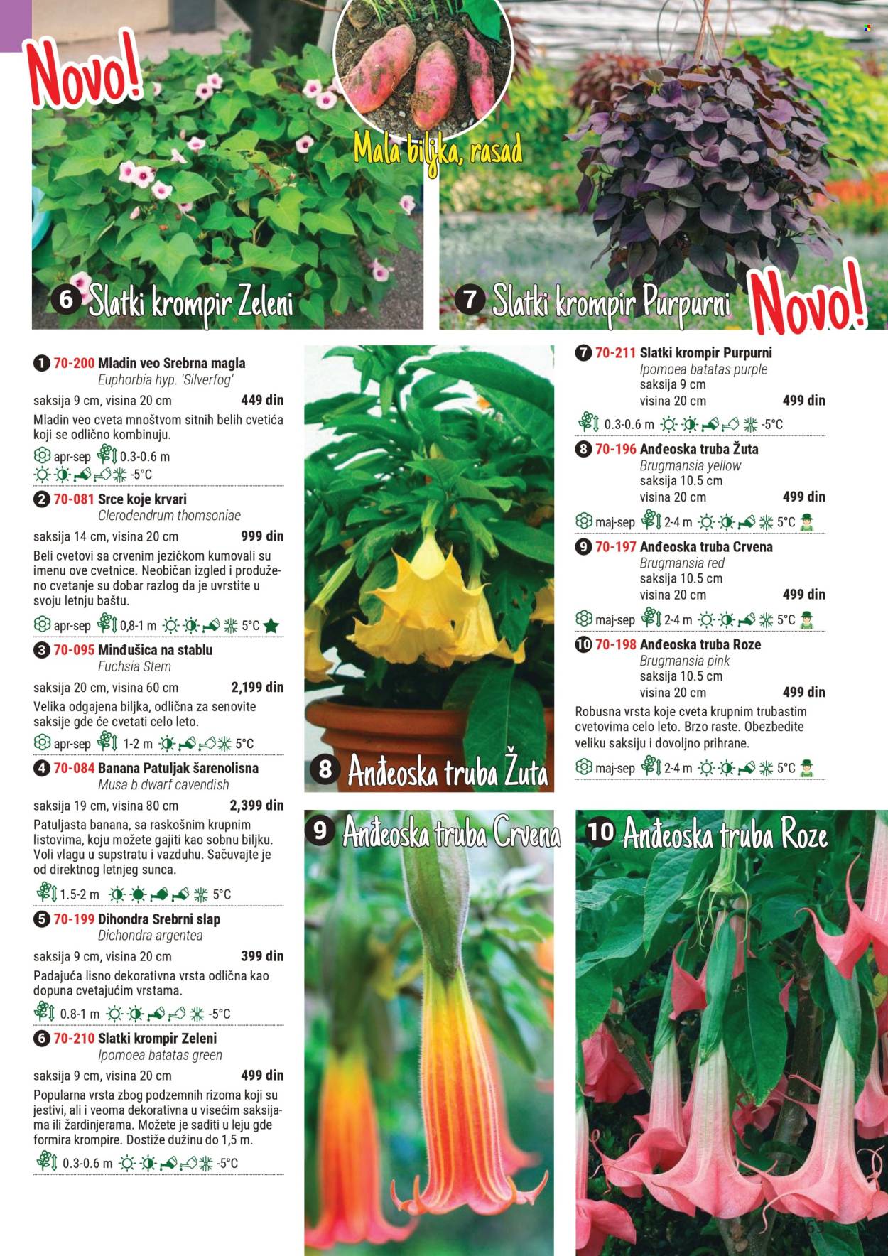 Flora Ekspres katalog. Stranica 1