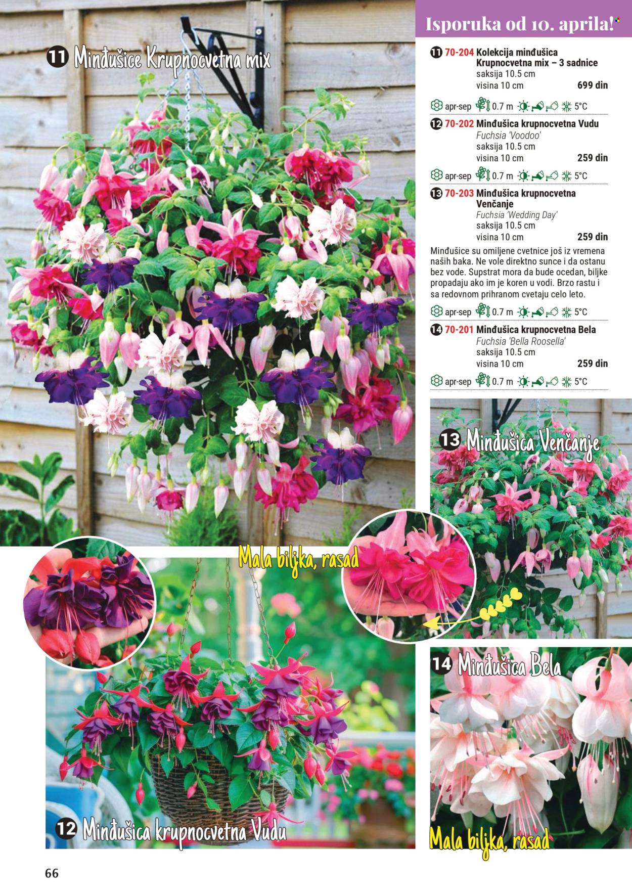 Flora Ekspres katalog. Stranica 1