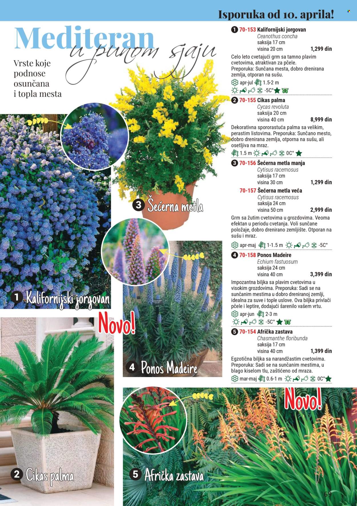 Flora Ekspres katalog. Stranica 1