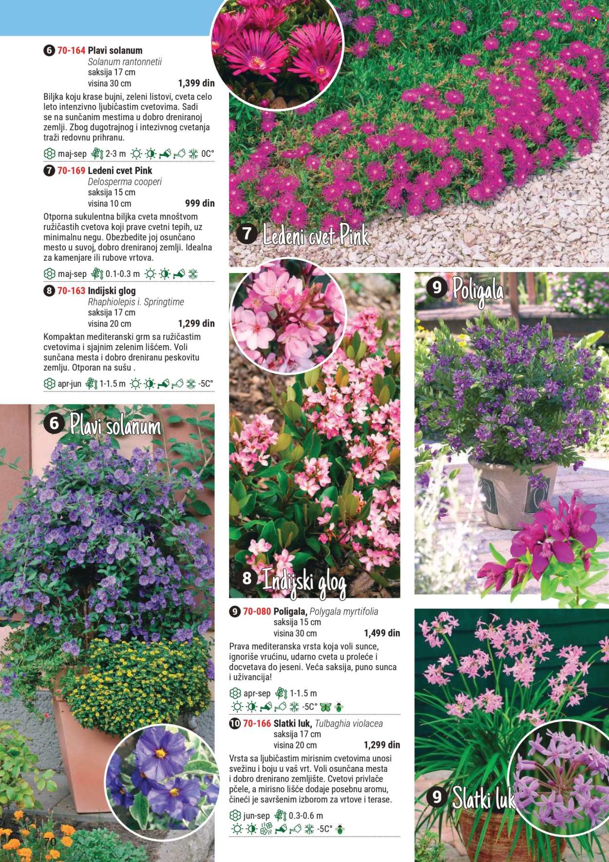Flora Ekspres katalog. Stranica 1