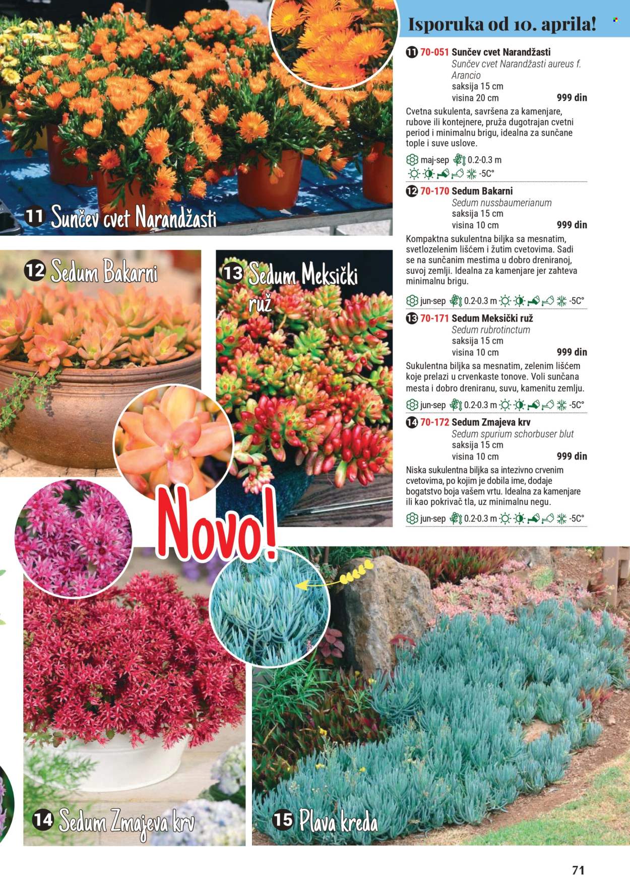 Flora Ekspres katalog. Stranica 1