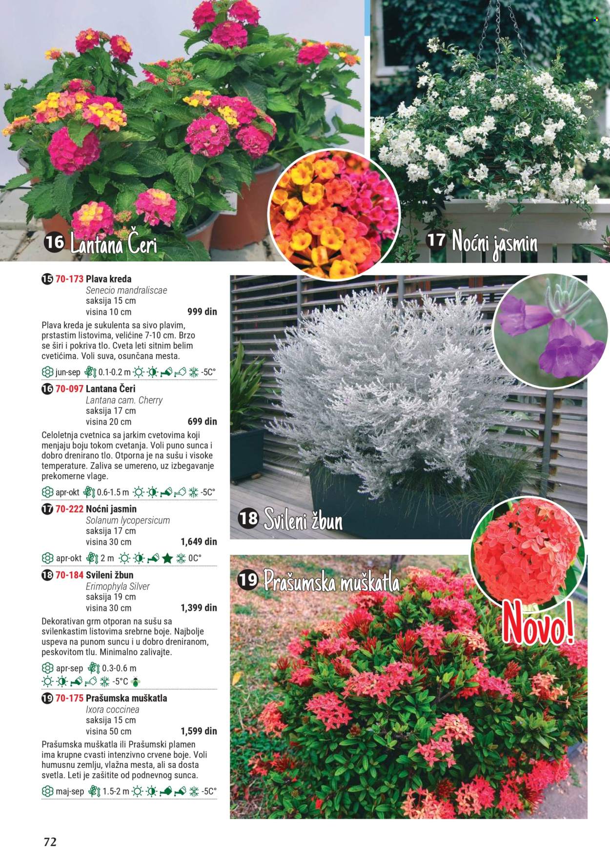Flora Ekspres katalog. Stranica 1