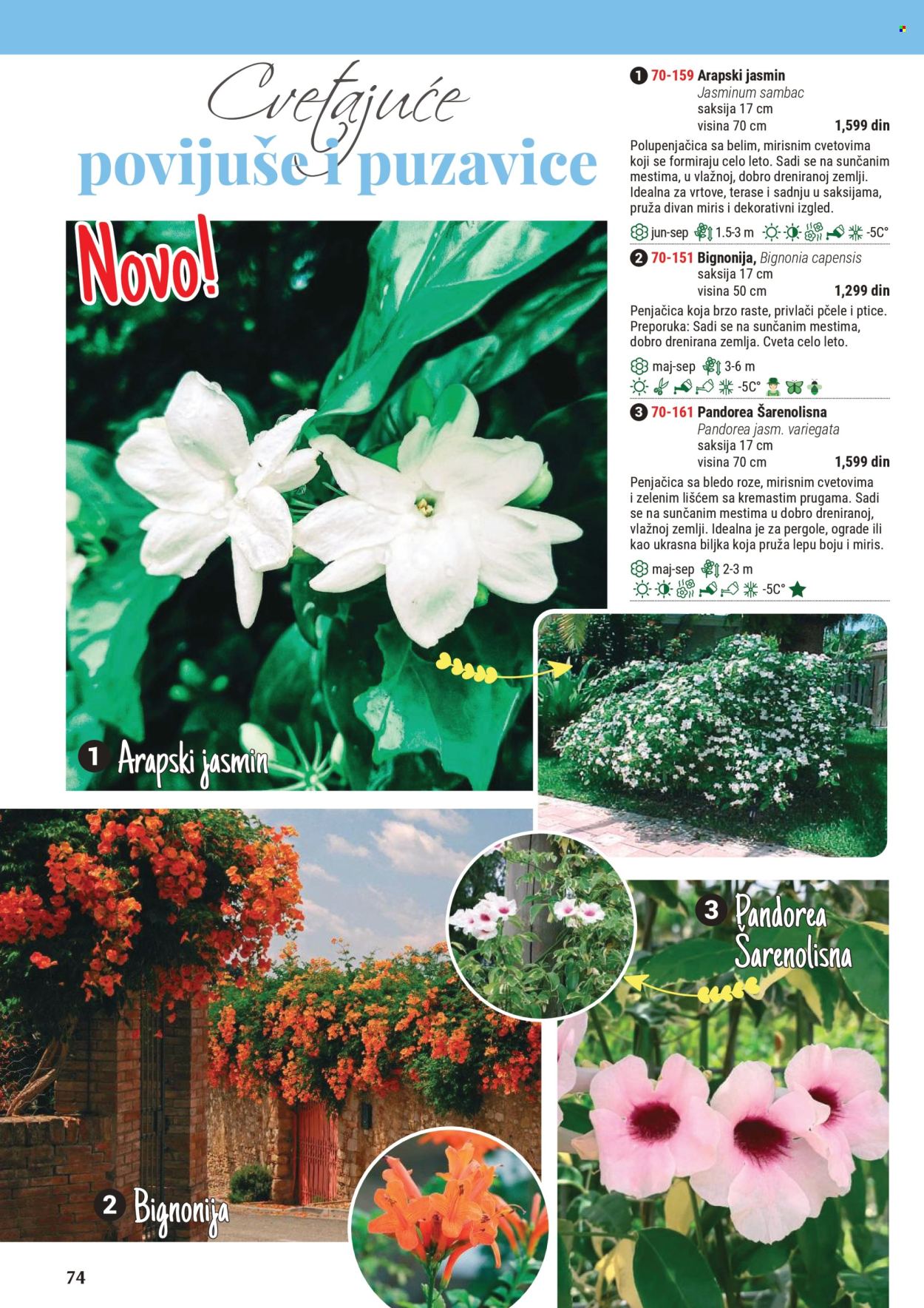 Flora Ekspres katalog. Stranica 1