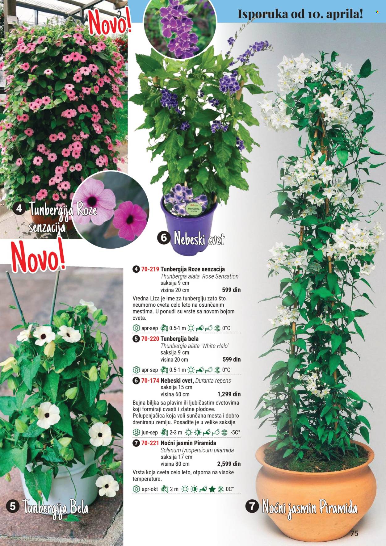 Flora Ekspres katalog. Stranica 1