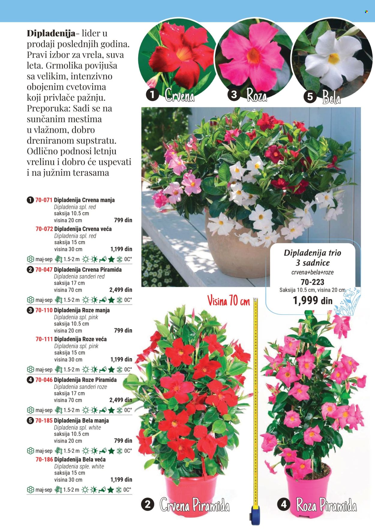 Flora Ekspres katalog. Stranica 1