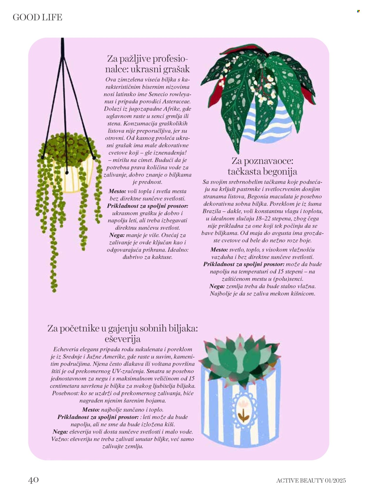 dm drogerie katalog. Stranica 1