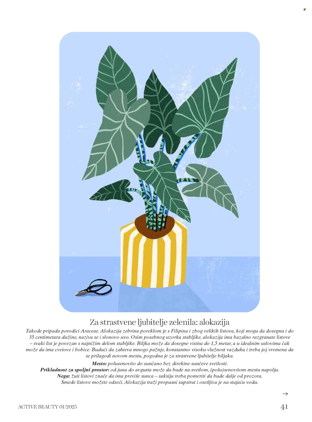 dm drogerie katalog. Stranica 1