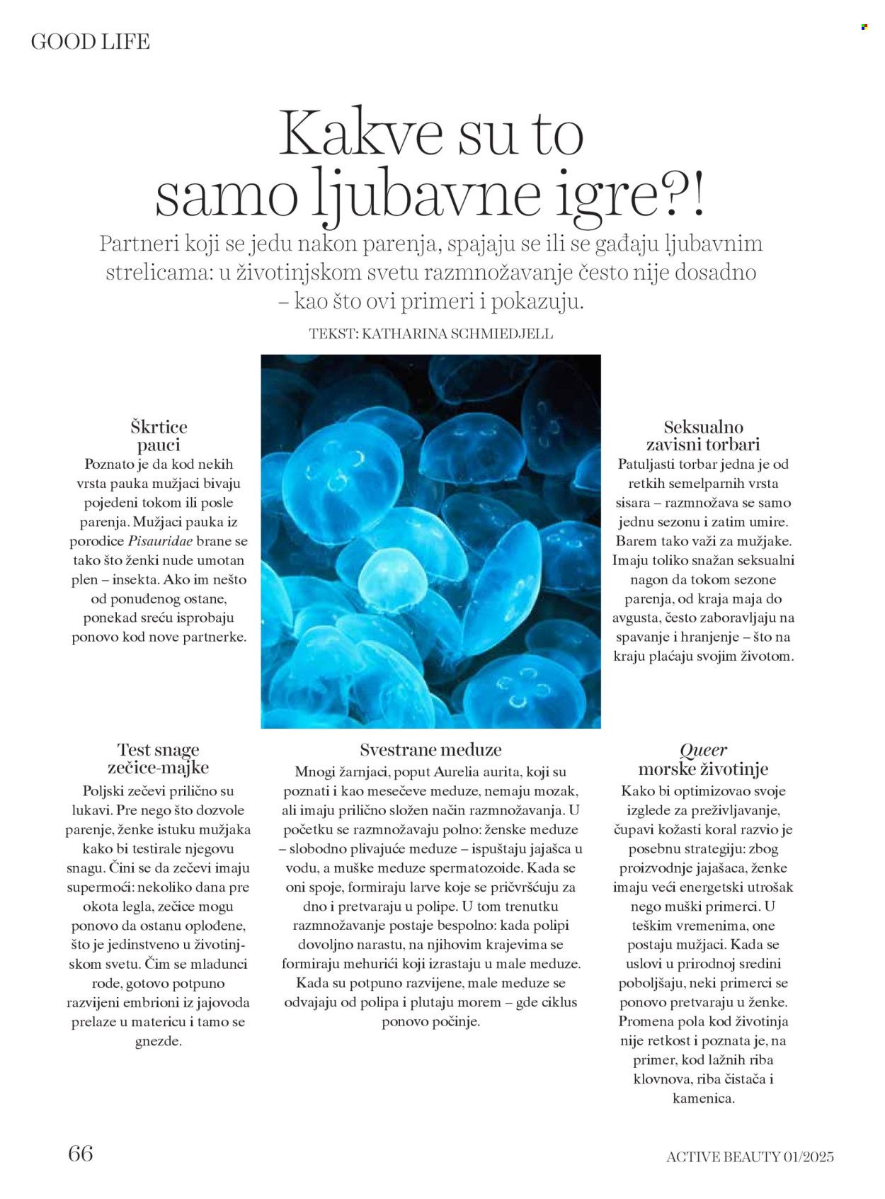 dm drogerie katalog. Stranica 1