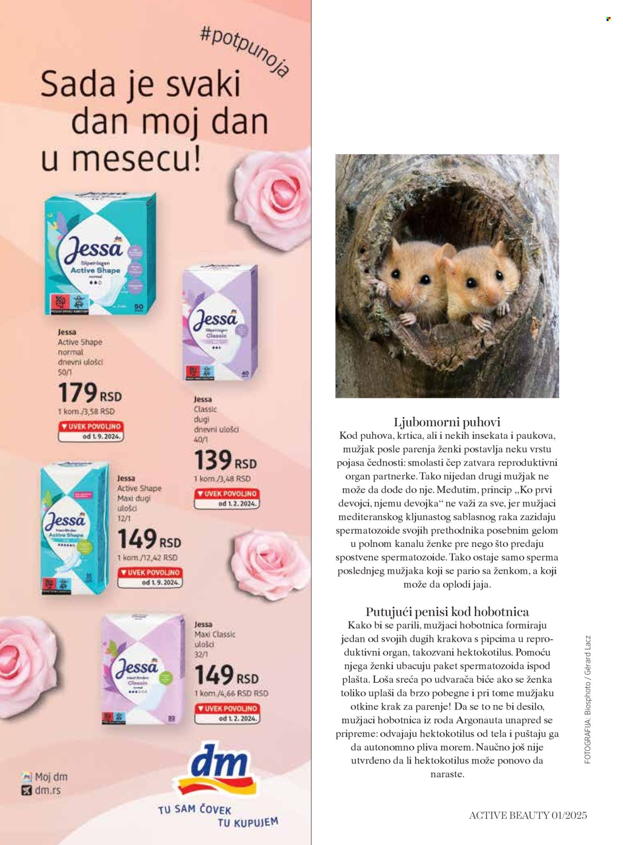 dm drogerie katalog. Stranica 1
