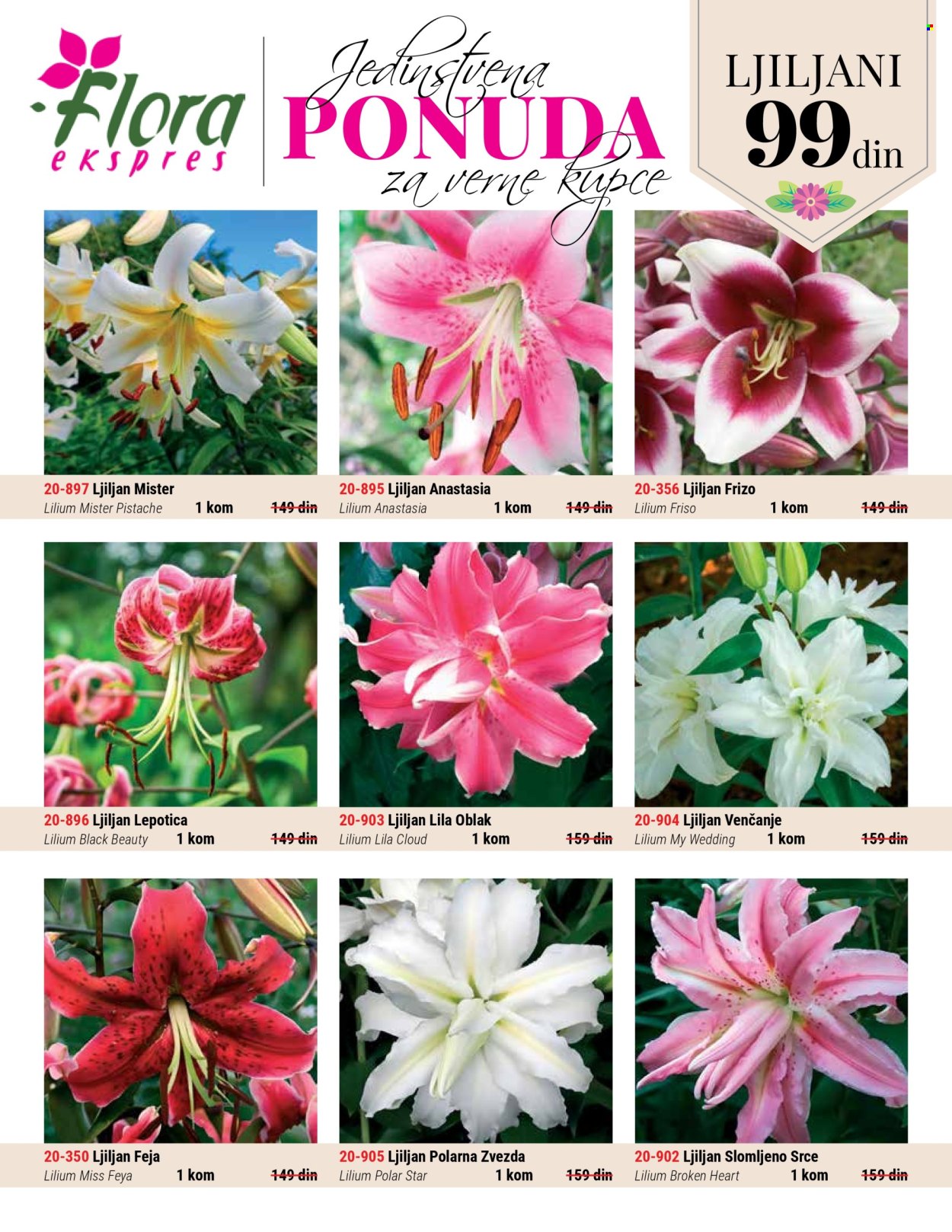 Flora Ekspres katalog. Stranica 1