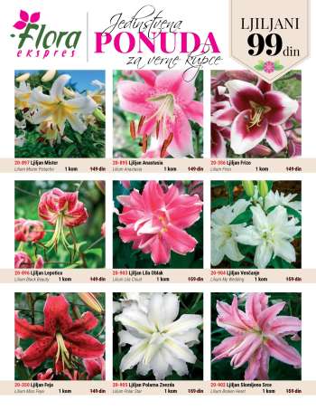 Flora Ekspres katalog.