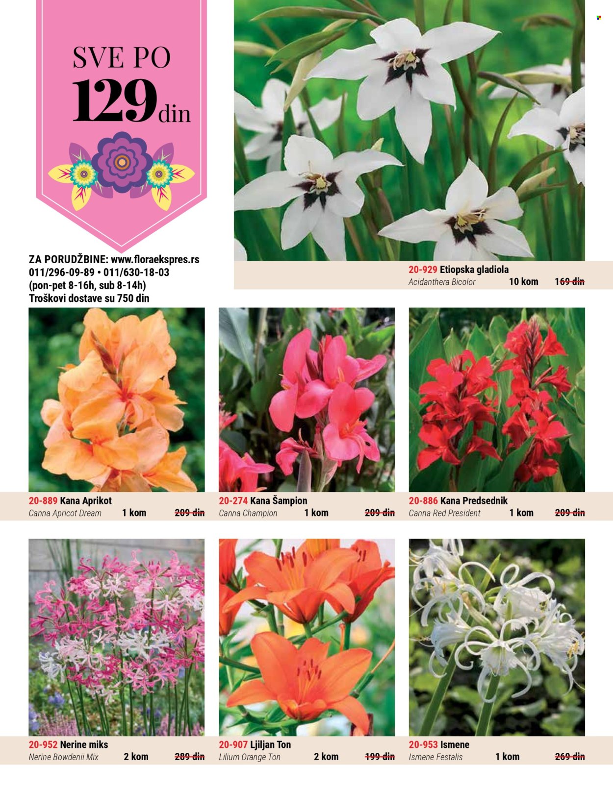 Flora Ekspres katalog. Stranica 1
