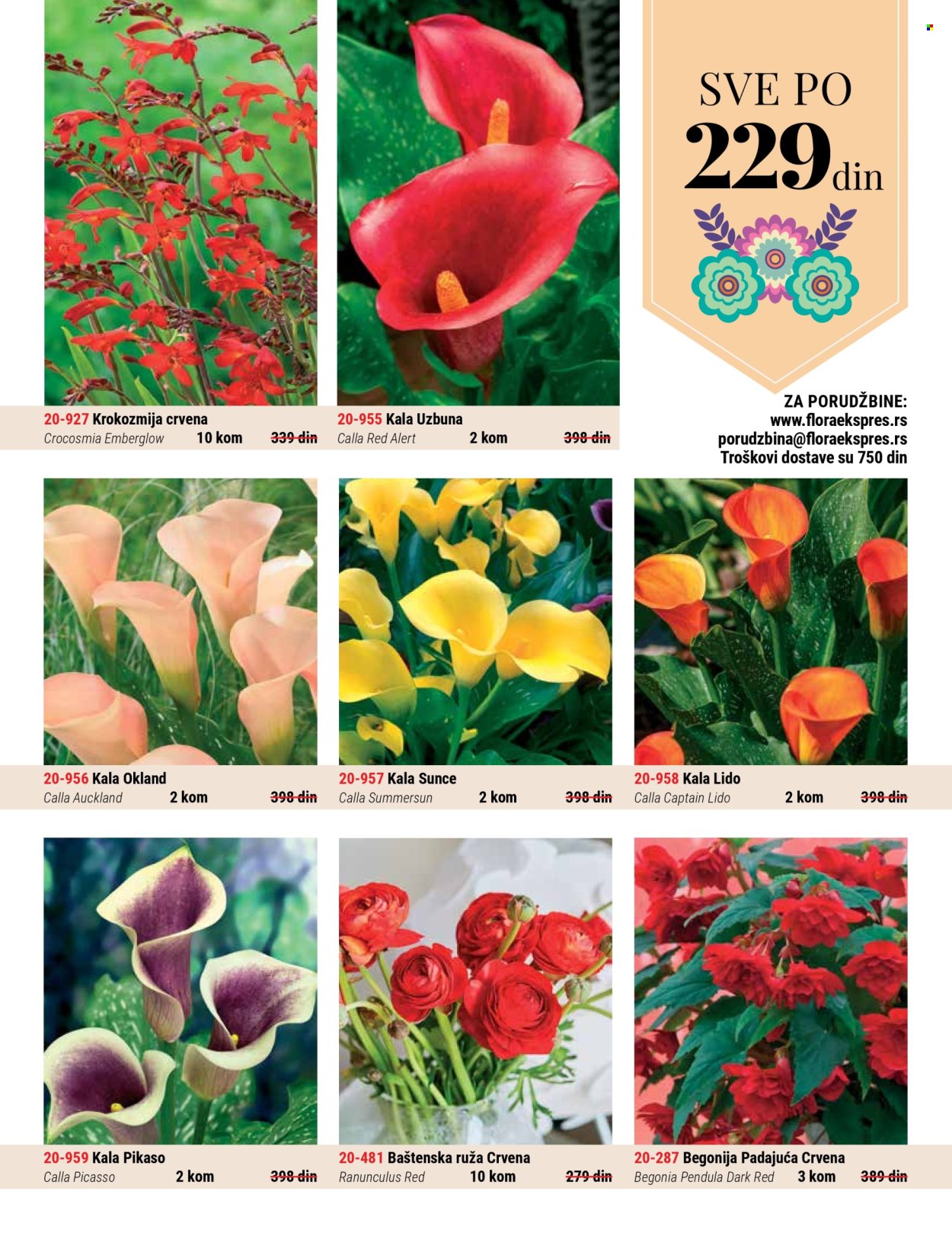Flora Ekspres katalog. Stranica 1