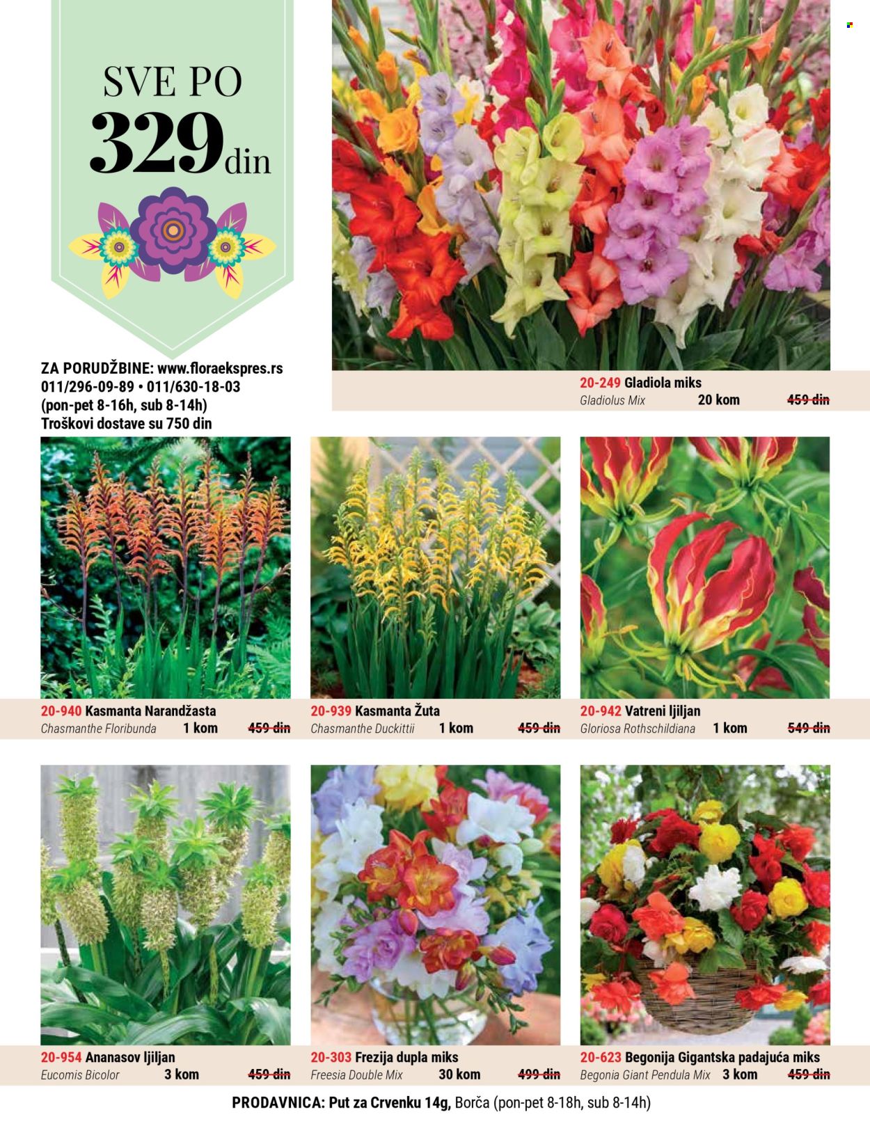 Flora Ekspres katalog. Stranica 1
