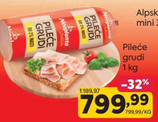 PILEĆE GRUDI