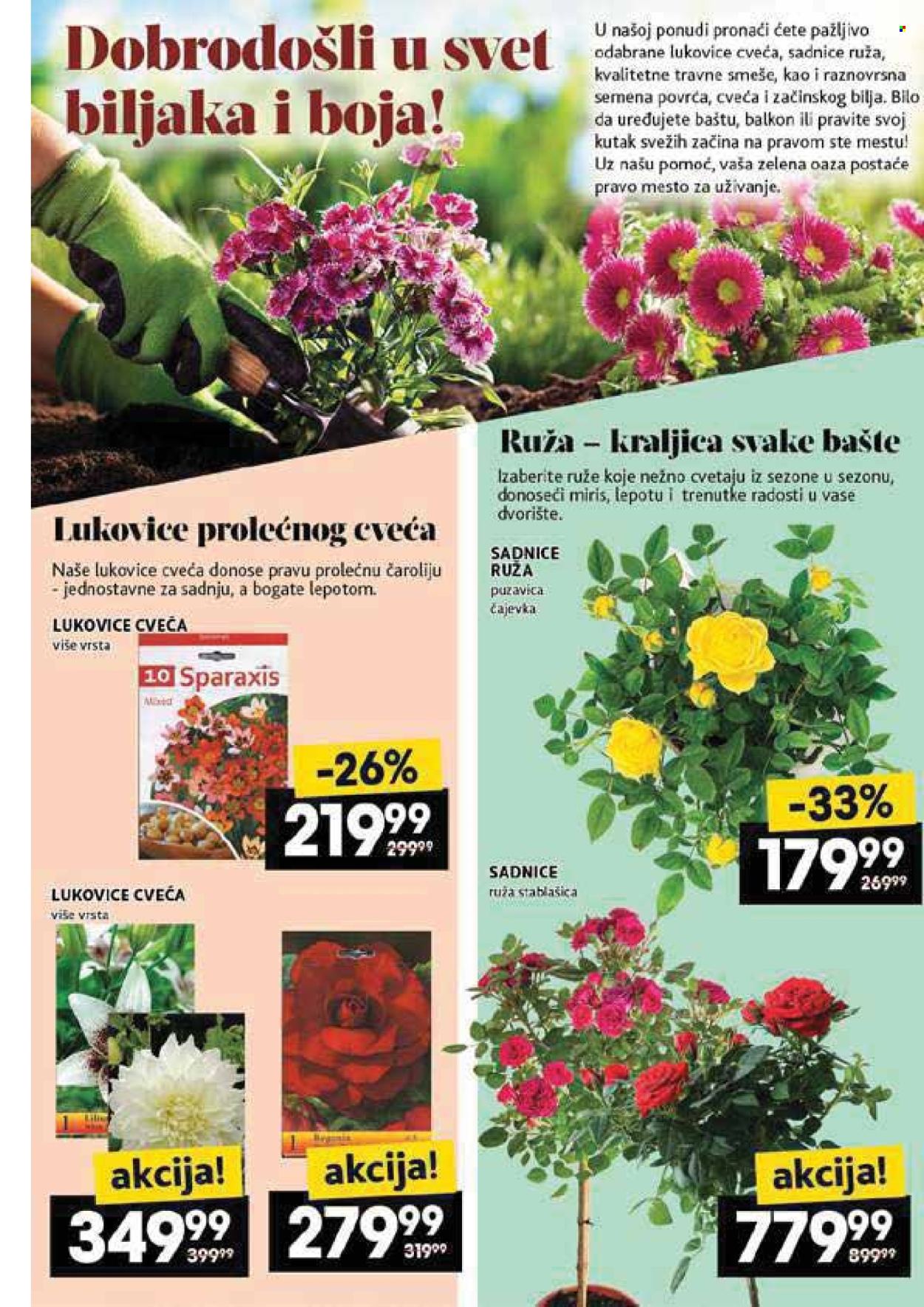 Mercator Centar katalog - 08.05.2025 - 14.05.2025. Stranica 1
