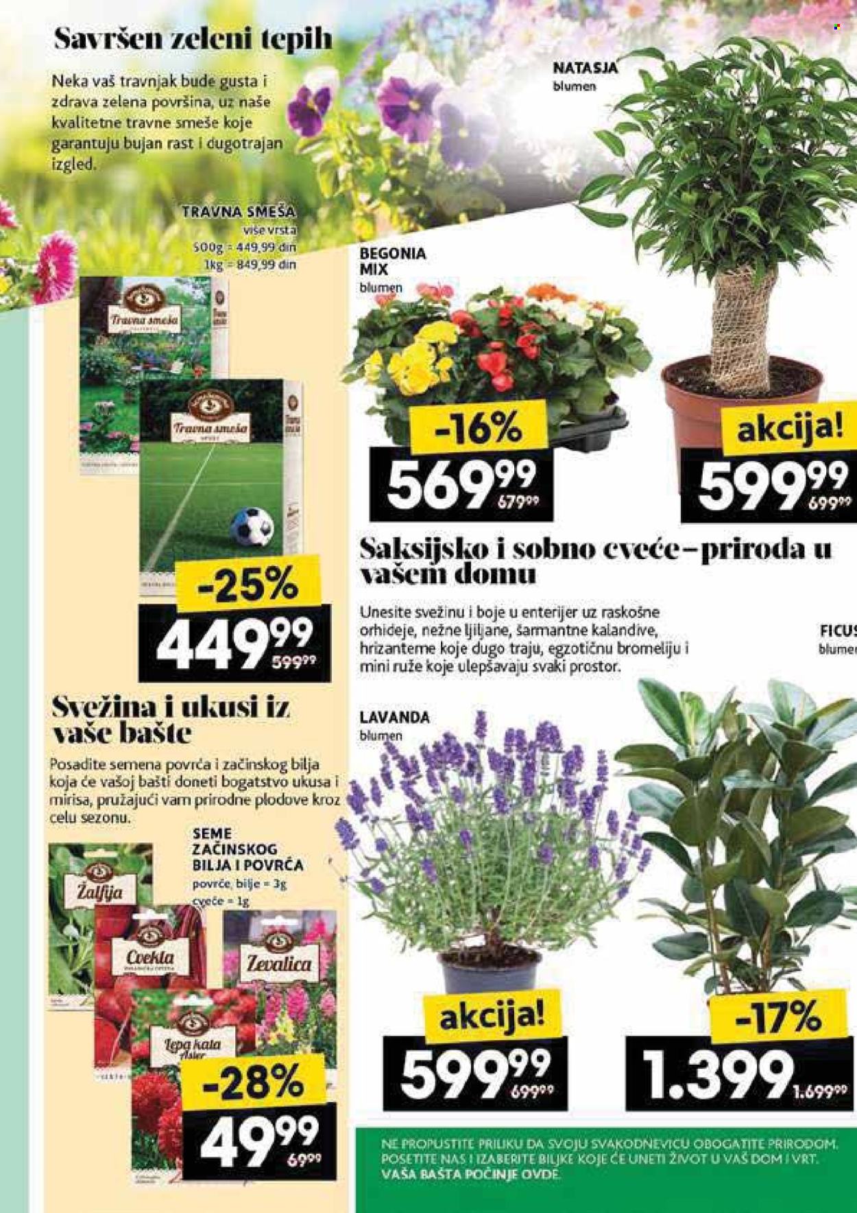Mercator Centar katalog - 08.05.2025 - 14.05.2025. Stranica 1