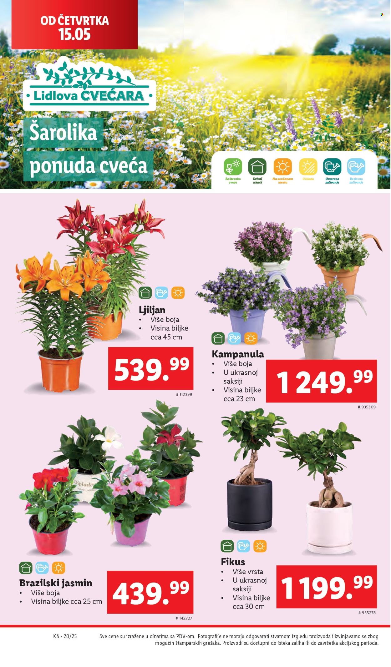 Lidl katalog - 15.05.2025 - 21.05.2025. Stranica 1