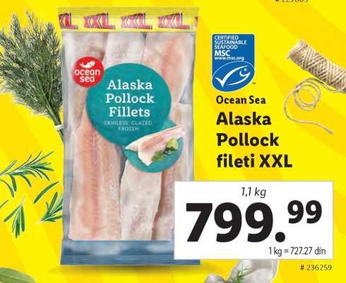 Ocean Sea Alaska Pollock fileti XXL