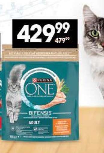 PURINA ONE BIFENSIS ADULT