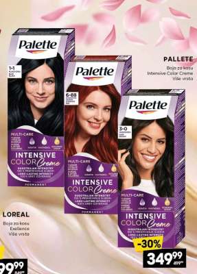 Palette