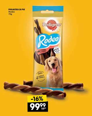 Rodeo