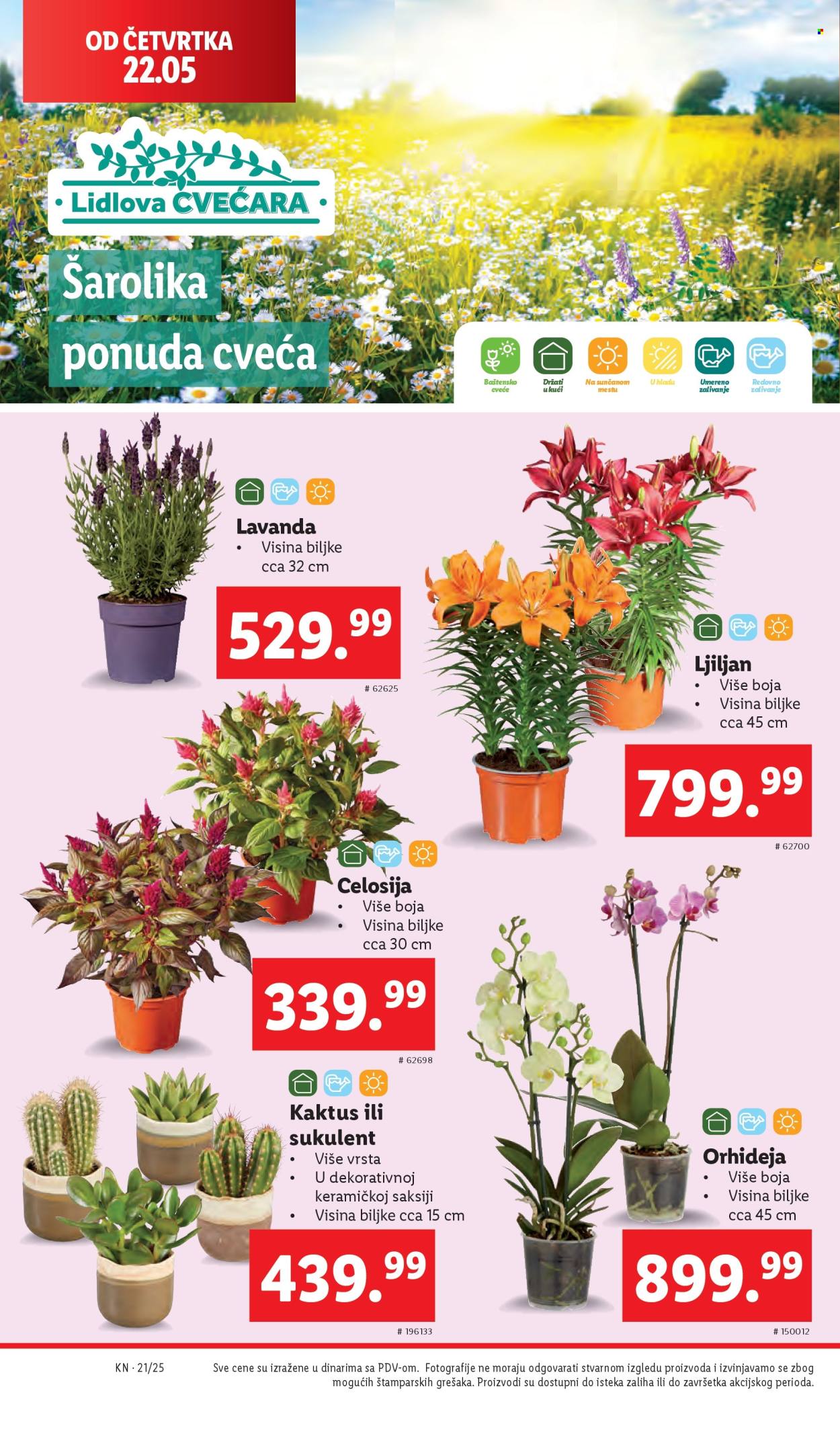Lidl katalog - 22.05.2025 - 28.05.2025. Stranica 1