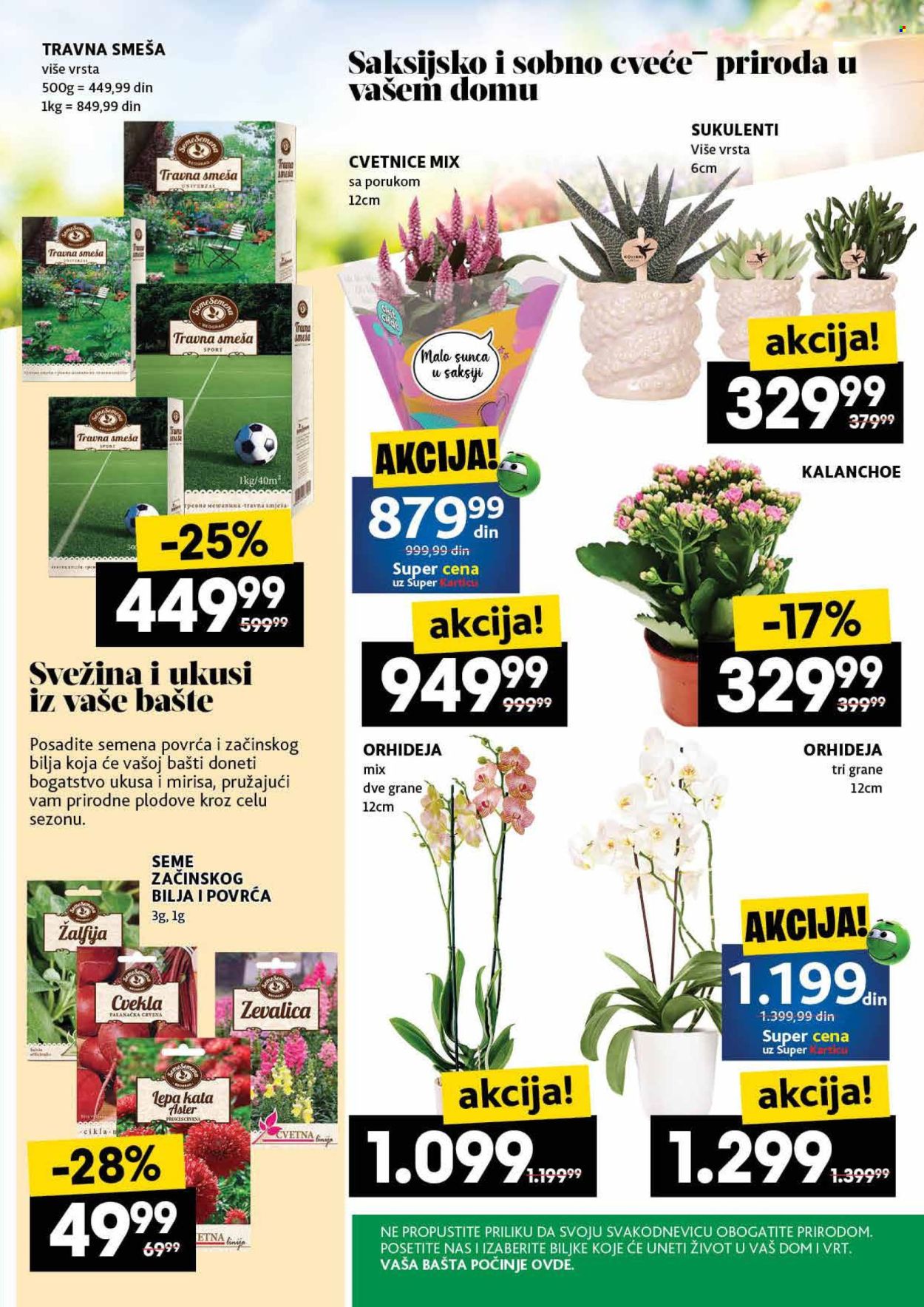 Roda katalog - 22.05.2025 - 28.05.2025. Stranica 1