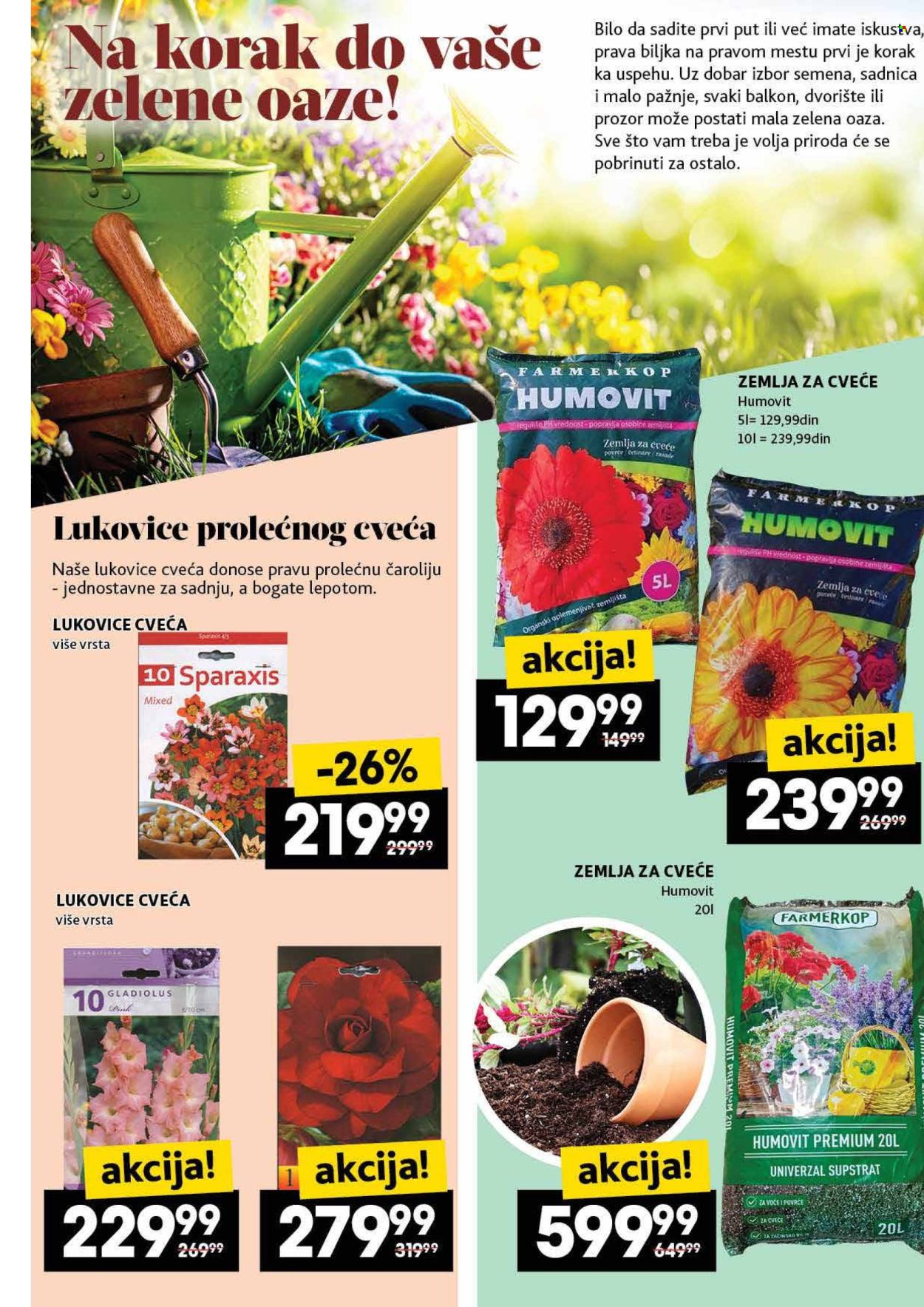 Idea katalog - 22.05.2025 - 28.05.2025. Stranica 1