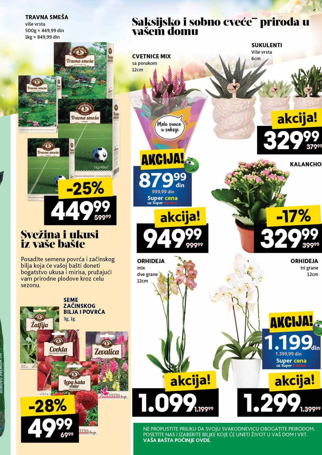 Idea katalog - 22.05.2025 - 28.05.2025. Stranica 1