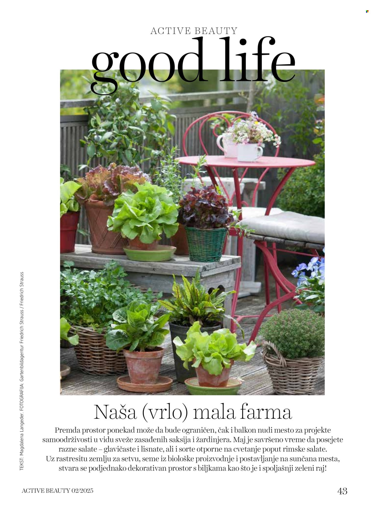 dm drogerie katalog. Stranica 43