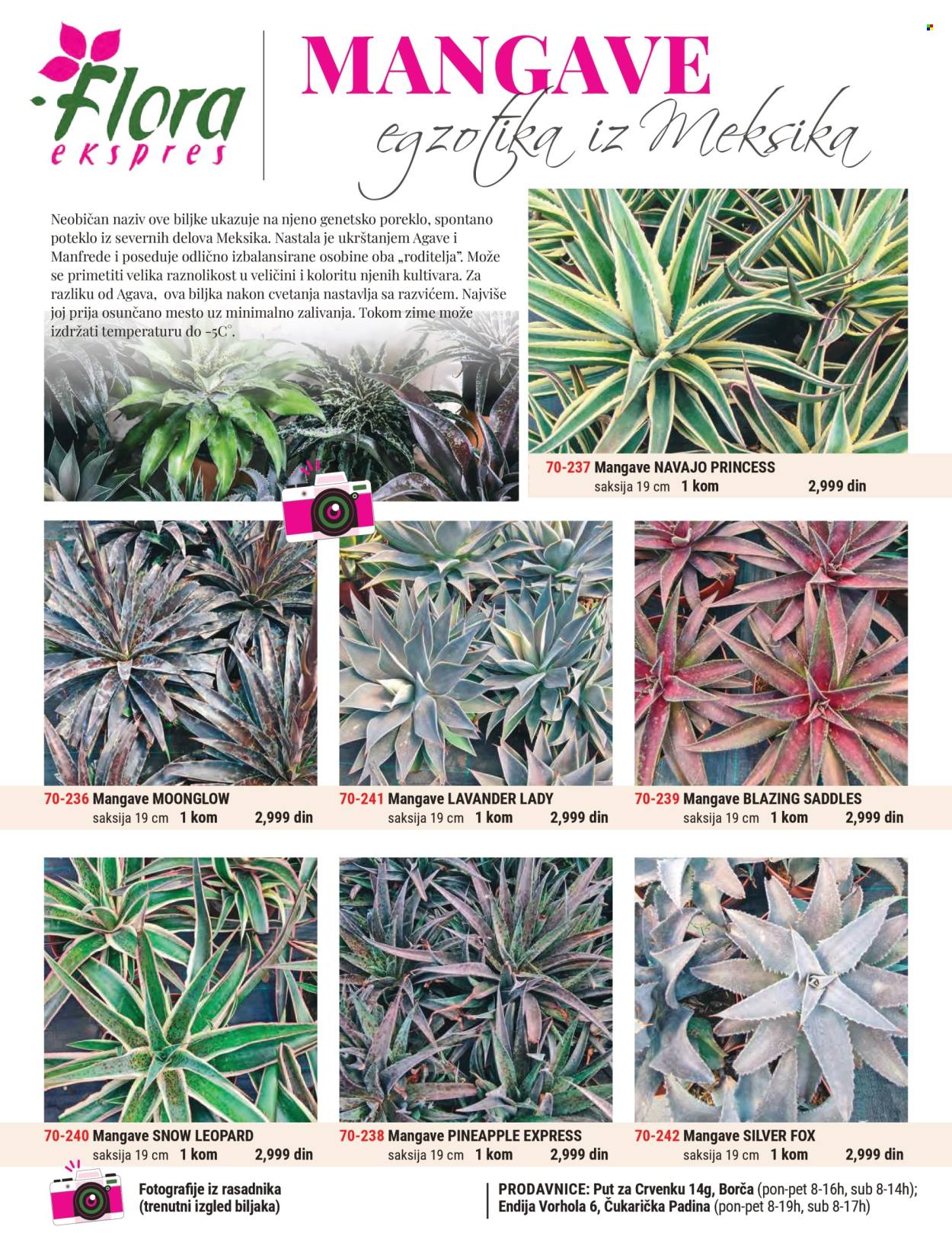 Flora Ekspres katalog. Stranica 1