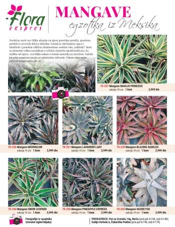 Flora Ekspres katalog.