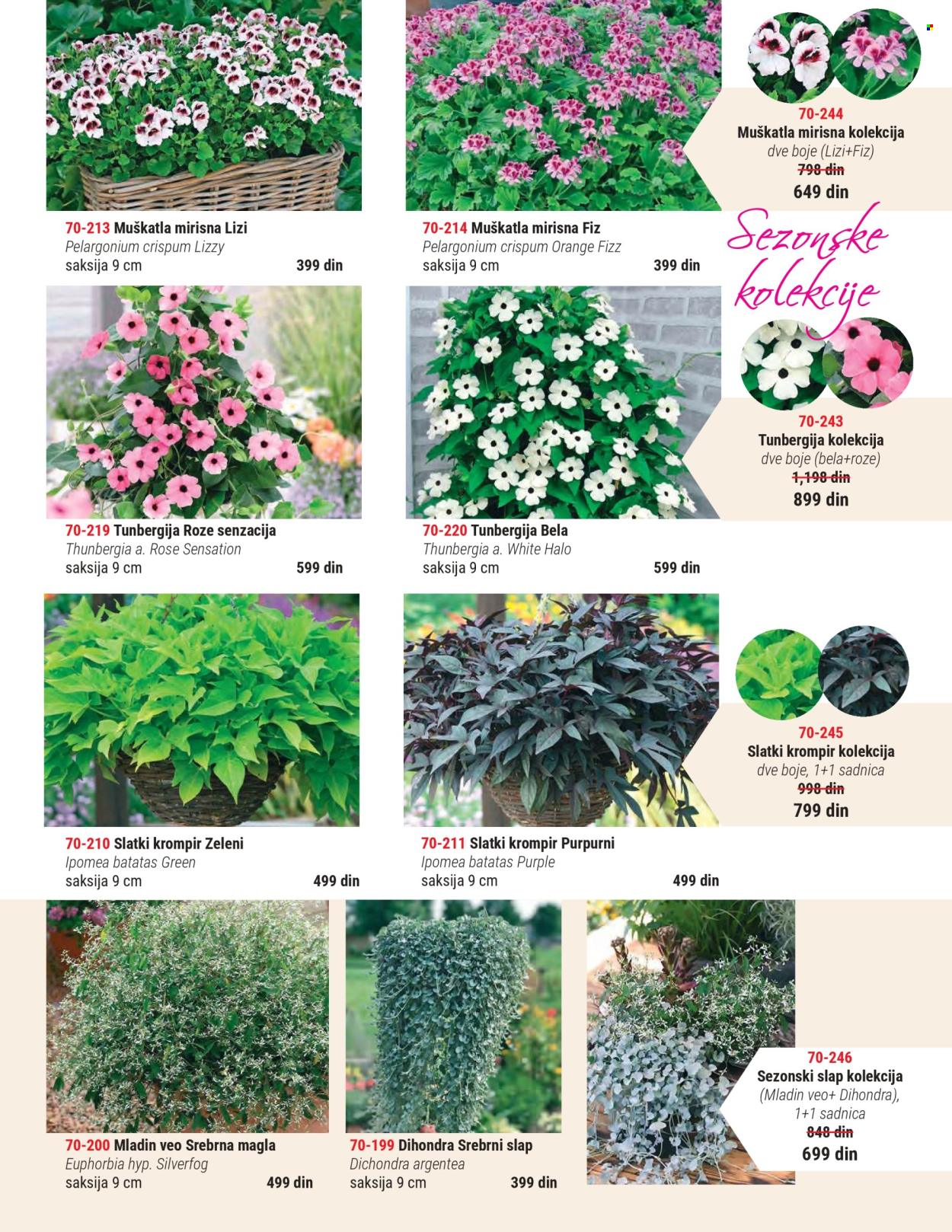 Flora Ekspres katalog. Stranica 3