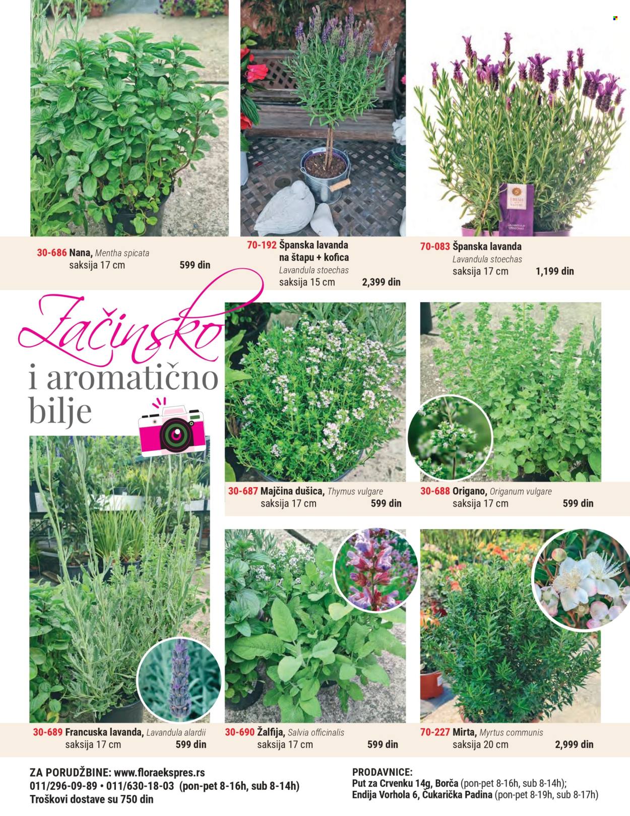 Flora Ekspres katalog. Stranica 4
