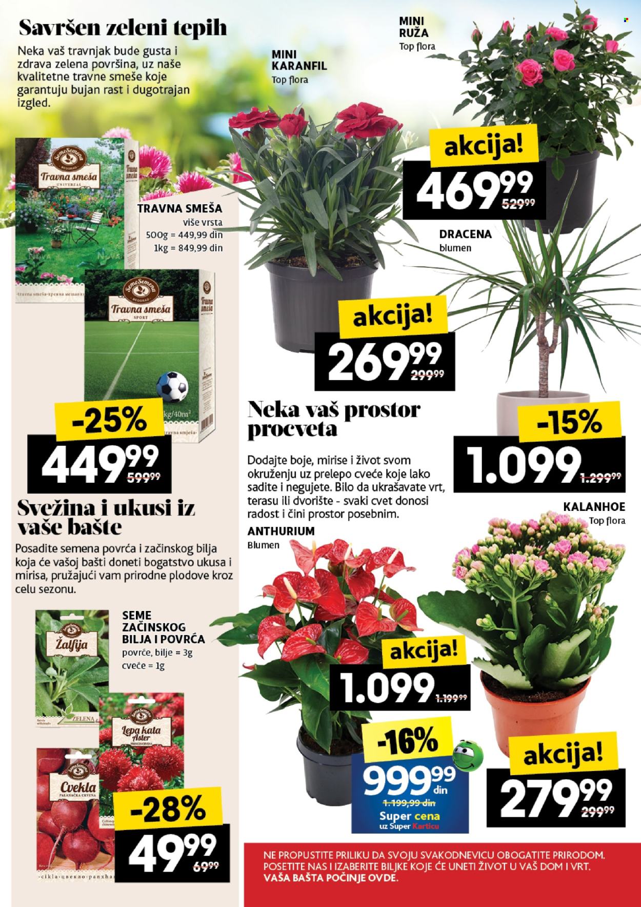 Roda katalog - 29.05.2025 - 04.06.2025. Stranica 49
