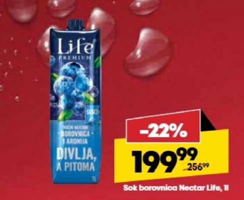 Sok borovnica Nectar life 1l
