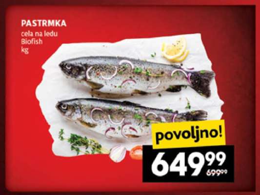 Pastrmka