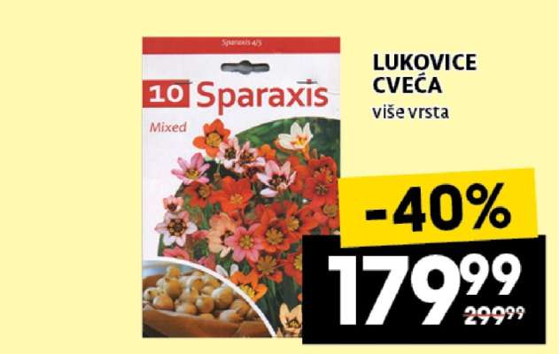 Lukovice cveća