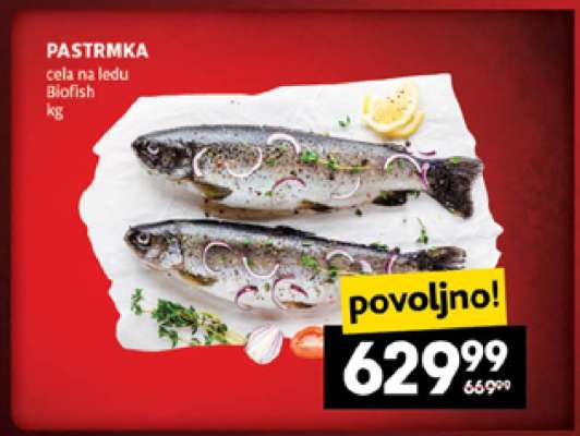 Pastrmka